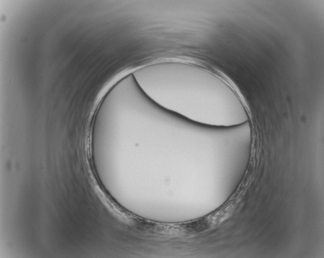 X0000086280811200703291101