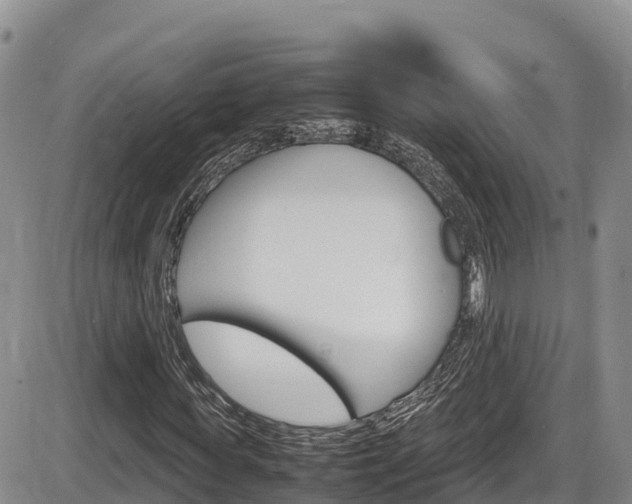 X0000086280819200703291100