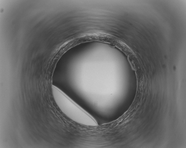 X0000086280822200703291100