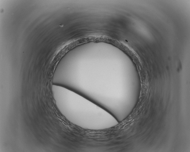 X0000086280823200703291100