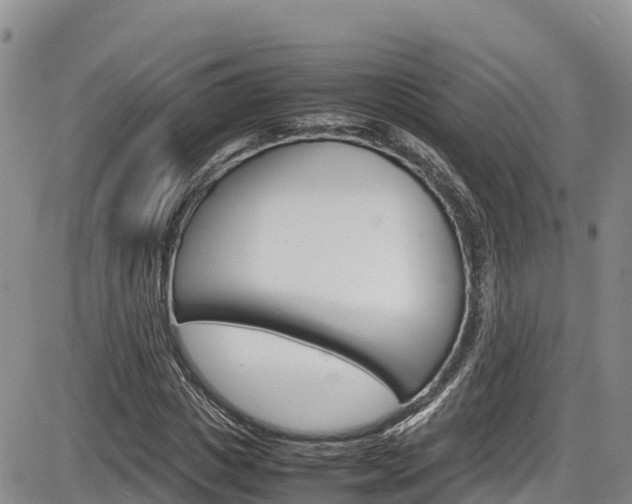 X0000086280825200703291100