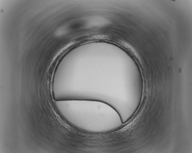 X0000086280827200703291100
