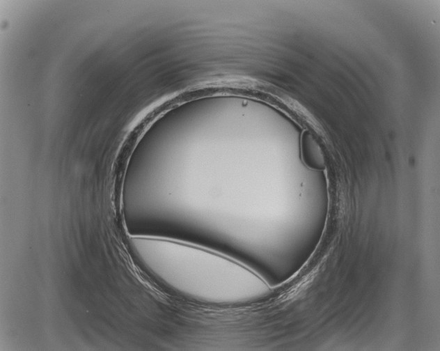 X0000086280830200703291101