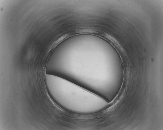 X0000086280841200703291101