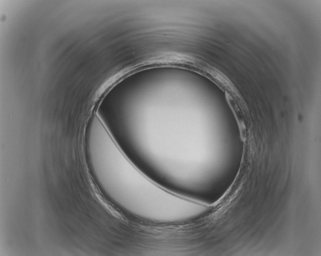 X0000086280842200703291101