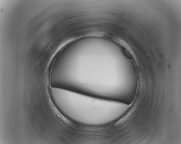 X0000086280843200703291101