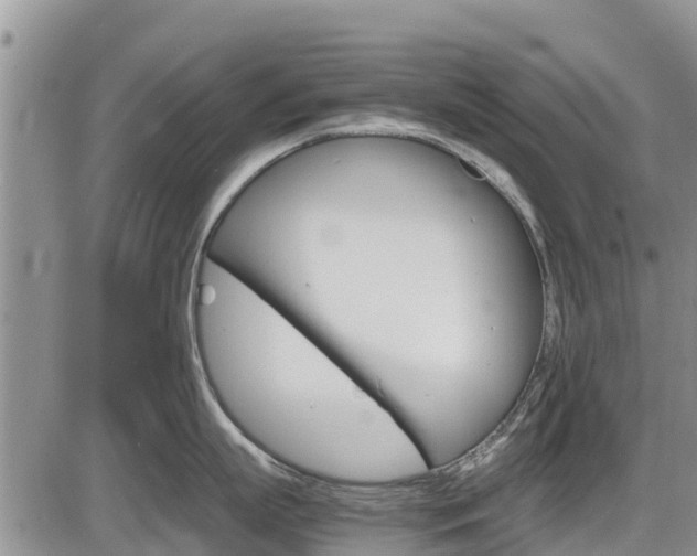 X0000086280863200703291101