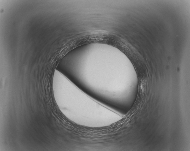 X0000086280867200703291100