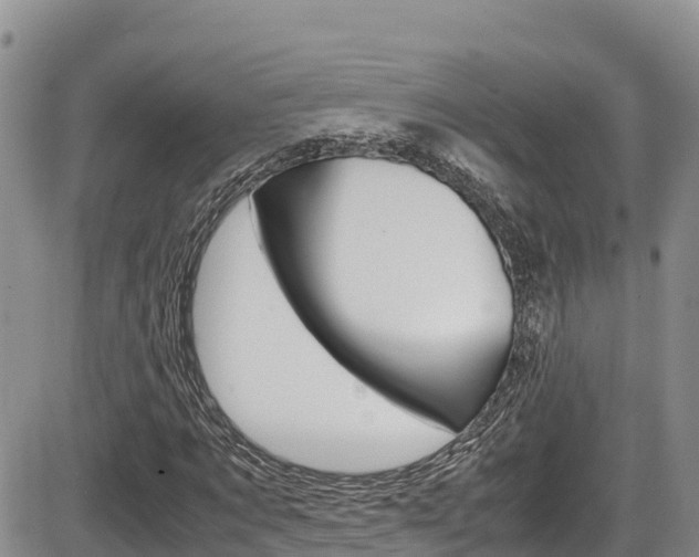 X0000086280869200703291100