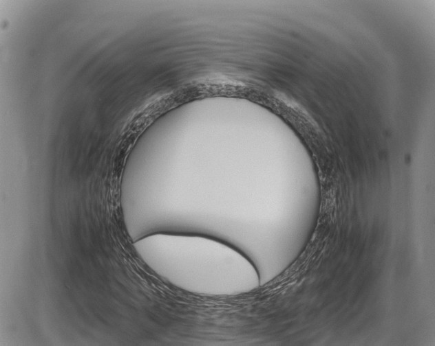X0000086280870200703291100