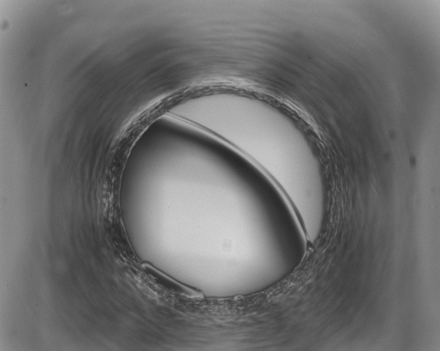 X0000086280872200703291100