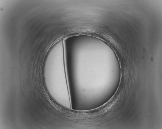 X0000086280881200703291100