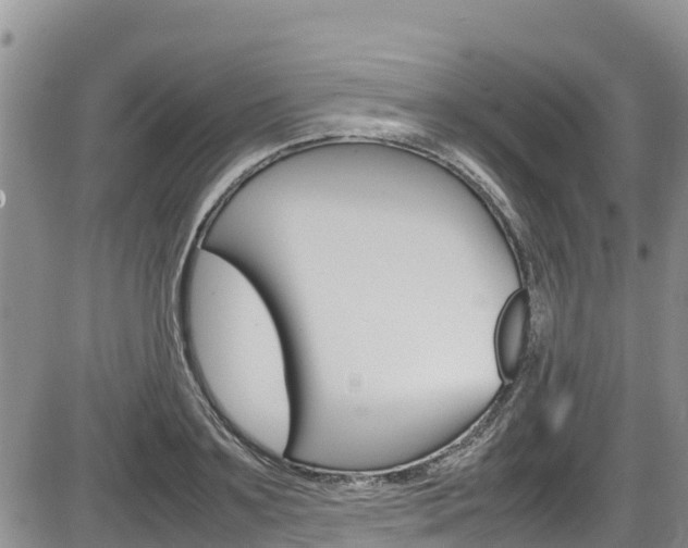 X0000086280891200703291100
