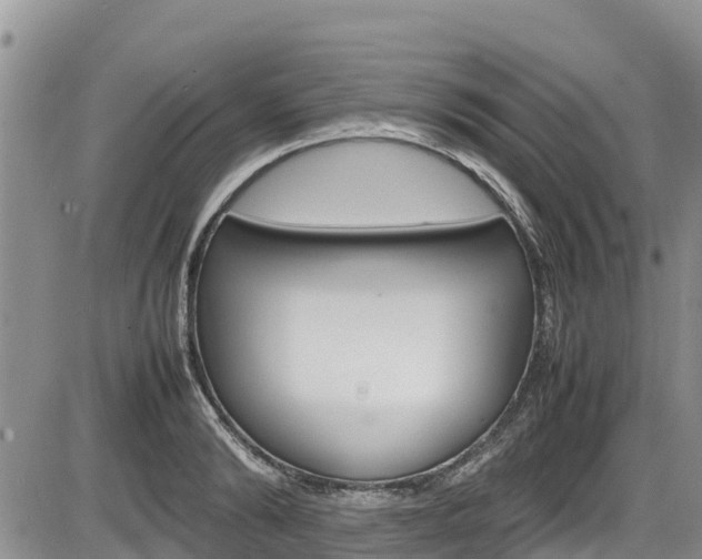 X0000086280894200703291100
