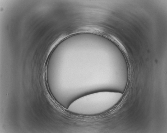 X0000086280899200703291100