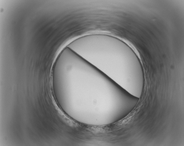 X0000086280911200703291100