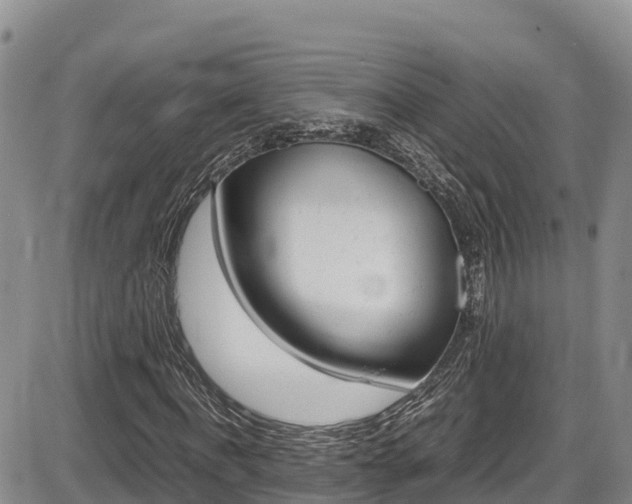 X0000086280916200703291059