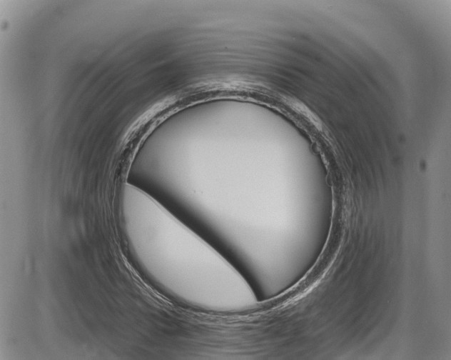 X0000086280922200703291059