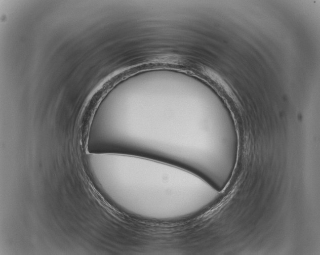 X0000086280923200703291059