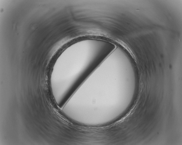 X0000086280926200703291059