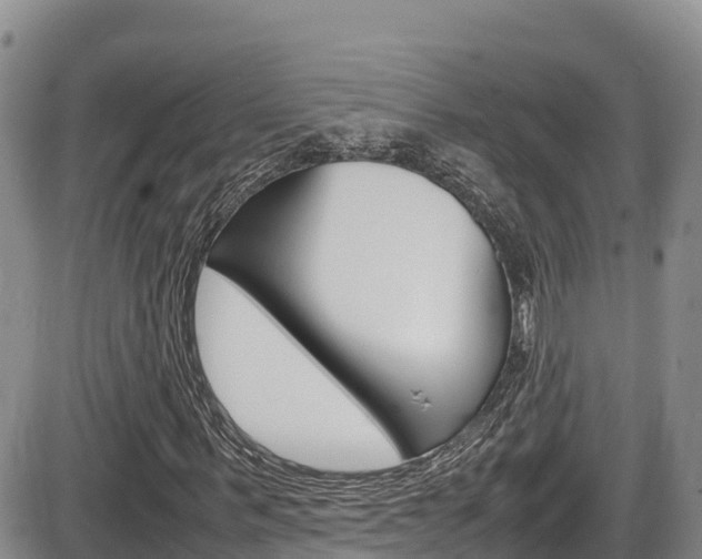 X0000086280963200703291059