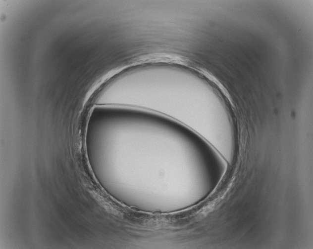 X0000086280973200703291058