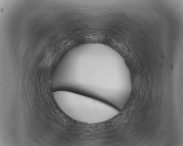 X0000086281009200703291057