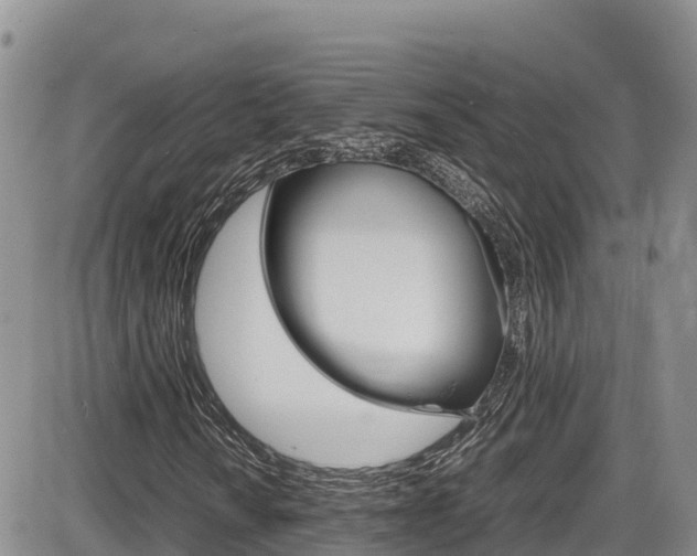 X0000086281010200703291057