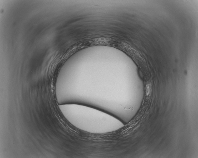 X0000086281011200703291057