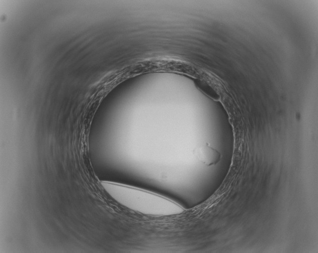 X0000086281014200703291057