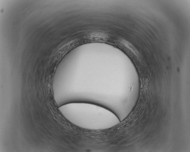 X0000086281015200703291057
