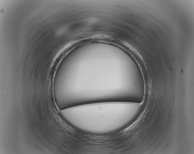 X0000086281021200703291057