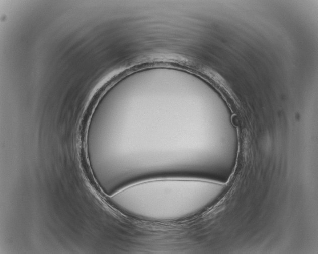 X0000086281024200703291057