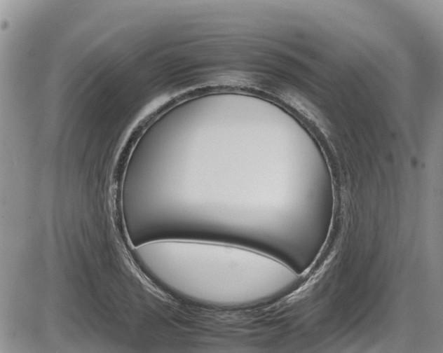 X0000086281029200703291057