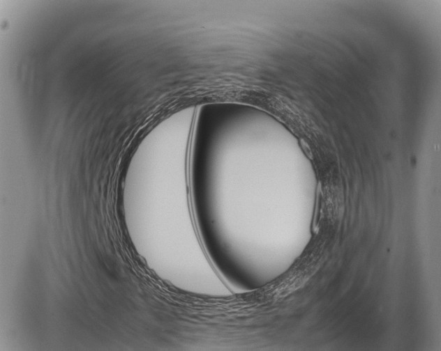 X0000086281057200703291057