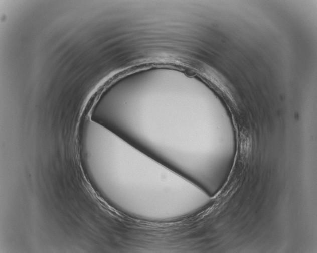 X0000086281068200703291057