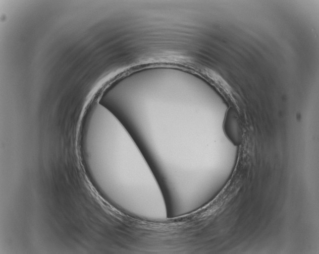 X0000086281072200703291057