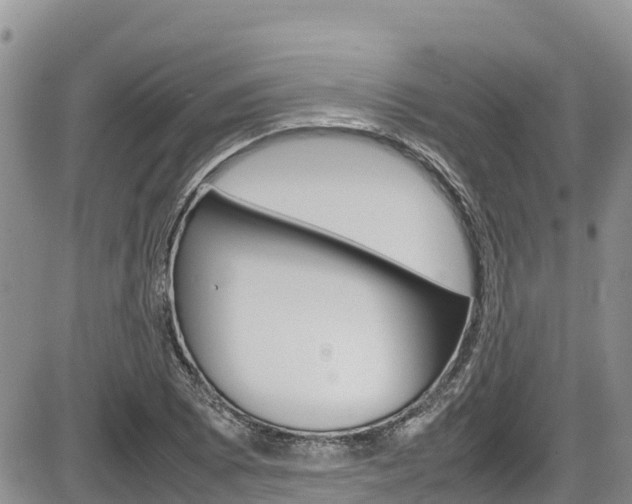X0000086281073200703291057
