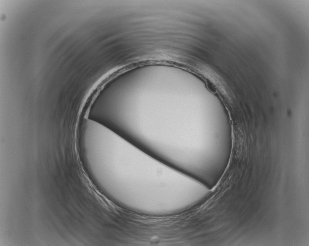 X0000086281076200703291057