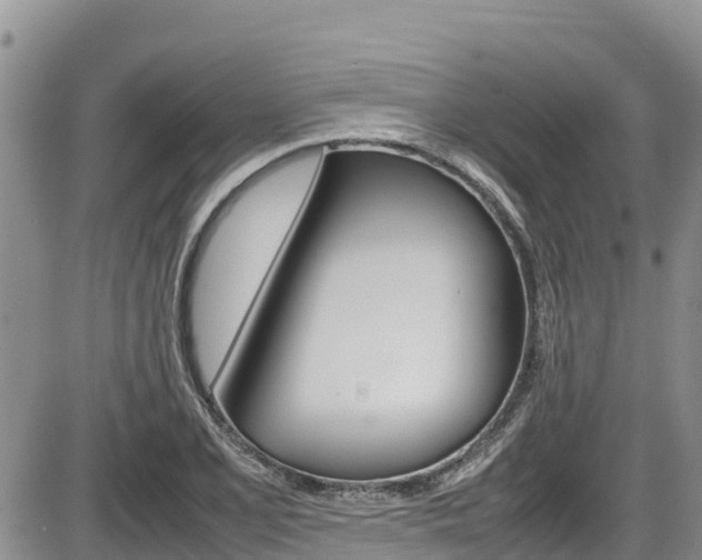X0000086281077200703291057
