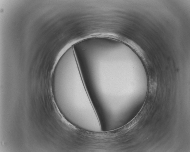 X0000086281102200703291056