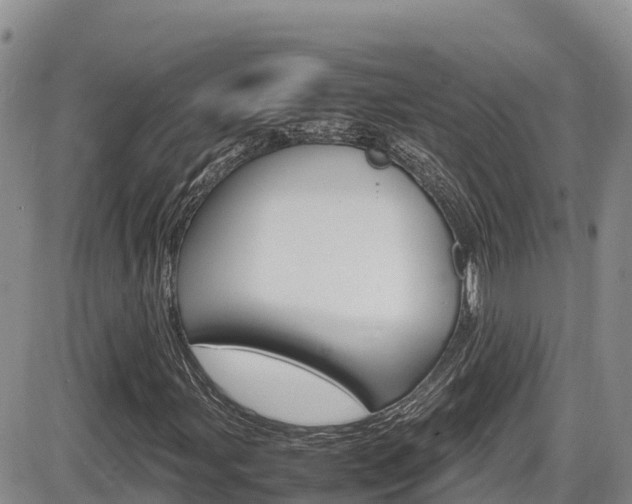 X0000086281107200703291055