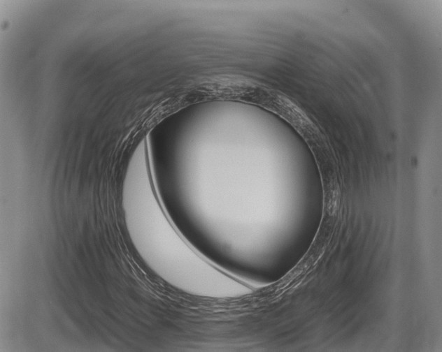 X0000086281108200703291055