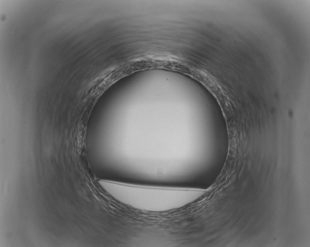 X0000086281110200703291056
