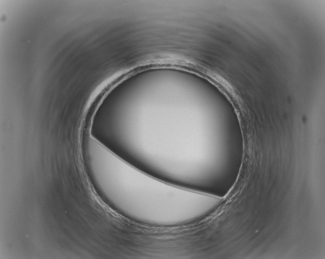 X0000086281120200703291056