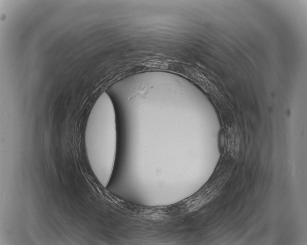 X0000086281154200703291055
