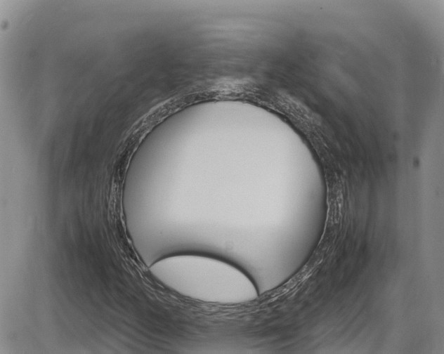 X0000086281158200703291055