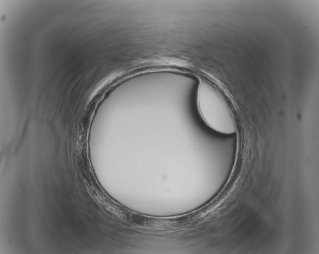 X0000086281163200703291055