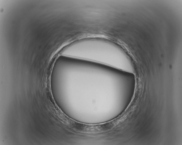 X0000086281165200703291055