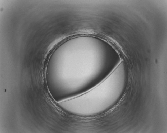 X0000086281168200703291055